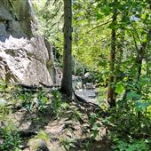 #16794 Parc Dufresne