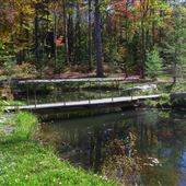 cabane en rondins