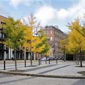 Place Gilles-Carle