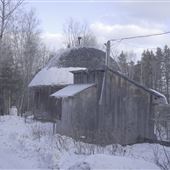 le vieux Buck