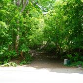 Parc du Mont-Royal - Sentiers