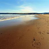 Plage Haldimand