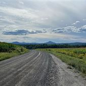 Chemin Vancourt