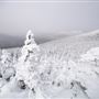 Mont Saint Joseph
