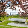 Parc Cartier-Brébeuf