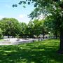 Parc des Royaux