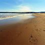Plage Haldimand