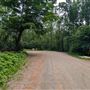 Chemin River