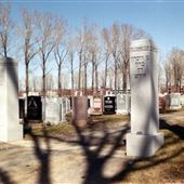 Cimetière Juif Savanne