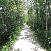 Marais de la riviere aux cerises