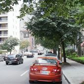 Rue du Fort
