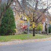 Rue Ellerdale