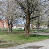 Parc Saint-Victor
