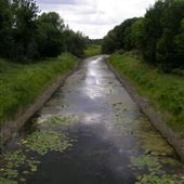 Îles Boucherville