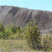 Bristol Mines