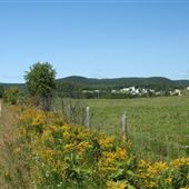 Paysage