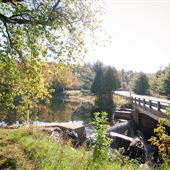 #15306 Lost River