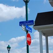 Rue des Cerisiers (secteur)