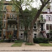 Avenue du Parc Lafontaine