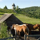 Le Baluchon