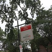 Parc Mozart