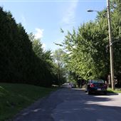 Pierrefond-Roxborro (ville)