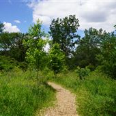 Parc du Boisé-Jean-Milot