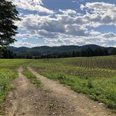 #17666 Paysage d'Arundel
