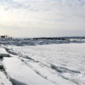 Bord de mer - Miguasha