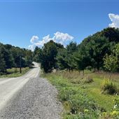 Chemin Davis