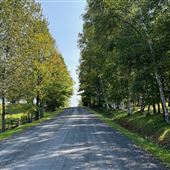 chemin Labbé