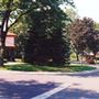Rues de Ville Mont-Royal