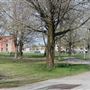 Parc Saint-Victor