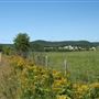 Paysage