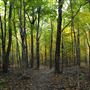 Bois de la Source