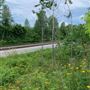 chemin de fer entre Richmond et Ulverton