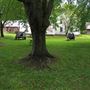 Brome County Historical Museum