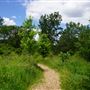 Parc du Boisé-Jean-Milot