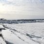 Bord de mer - Miguasha