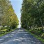 chemin Labbé