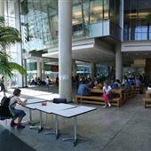 Université Concordia