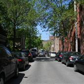 Rue Robin