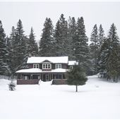 #15286 Lac Fraser