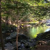 Mix Lac-Brome