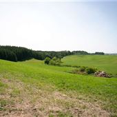 #16721 Ouellette