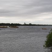 Rapides de Lachine