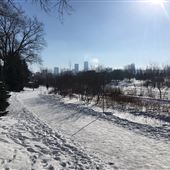 Parc de l'Anse-à-Cartier