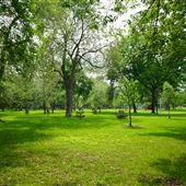 Parc Marguerite-Bourgeoys