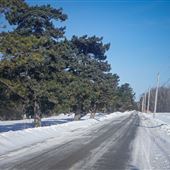 Arboretum Morgan - Hiver