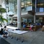 Université Concordia